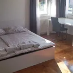 & Murgle * Ljubljana